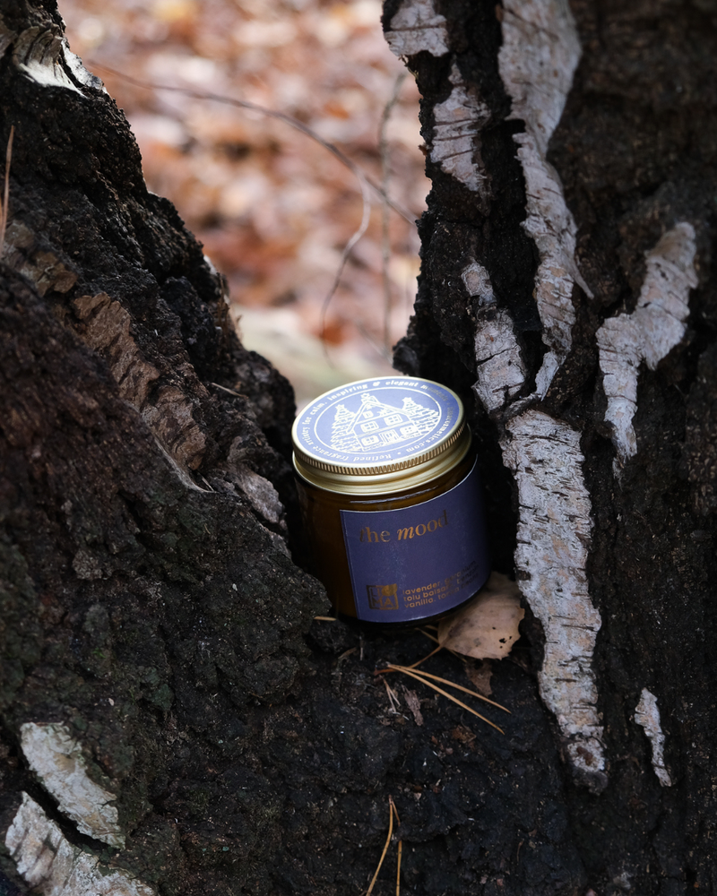 
                  
                    LIMA Adventskerze The Mood,  perfekt für ruhige Winterrituale.
                  
                