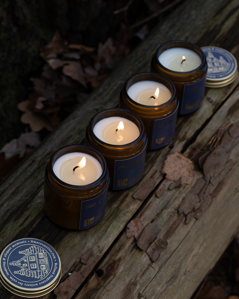 
                  
                    Ausgefallene Adventskerzen mit Duft
                  
                