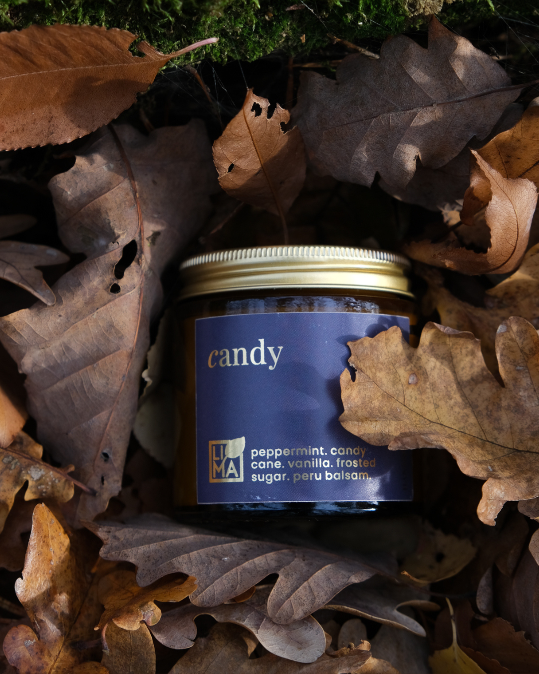 
                  
                    Vegane Sojawachs Adventskerze Candy – natürliche Winterduftkerze für klare Momente.
                  
                