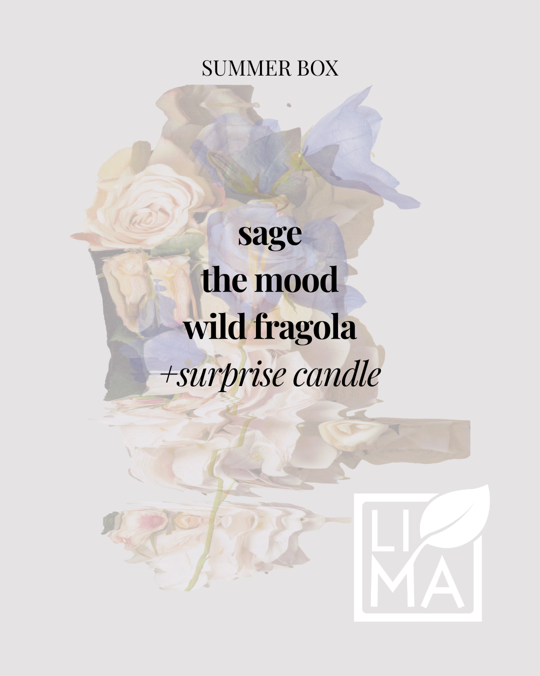 Eine Liste der 4 Duftkerzen in der Sommerbox